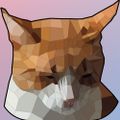 Profile picture sillynephele.bsky.social