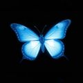 Profile picture bleuskybeauty.bsky.social