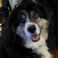 Profile picture jennyshepherd.bsky.social