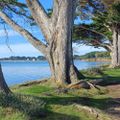 Profile picture eviebretagne.bsky.social