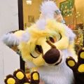 Profile picture stripestigers.bsky.social
