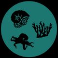 Profile picture oceanspecies.bsky.social