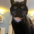 Profile picture helencourtney.bsky.social