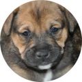 Profile picture danielnews.bsky.social