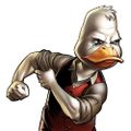 Profile picture howardleduck.bsky.social