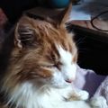 Profile picture kat778.bsky.social