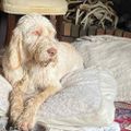 Profile picture ktdid56.bsky.social