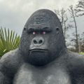 Profile picture talius.bsky.social