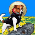 Profile picture bluenote1866.bsky.social