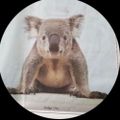 Profile picture 4linblue.bsky.social