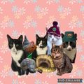 Profile picture horatio-ladyh.bsky.social
