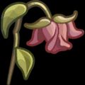 Profile picture everfaire.bsky.social