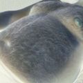 Profile picture hereinthemix.bsky.social