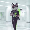 Profile picture jayfoxcat.fops.world