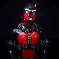 Profile picture puppy-marlon.bsky.social
