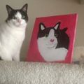 Profile picture digitalmeowmix.bsky.social
