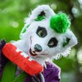 Profile picture thejokerfox.bsky.social