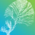 Profile picture researchtree.bsky.social