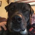 Profile picture jlpipkin.bsky.social