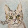 Profile picture zarfera.bsky.social