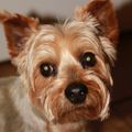 Profile picture smugface.bsky.social