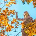 Profile picture elmwoodcemetery.bsky.social