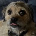 Profile picture lyndah612.bsky.social