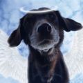 Profile picture labtested.bsky.social