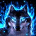 Profile picture wperiodbperiod.bsky.social
