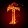 Profile picture tullage.bsky.social