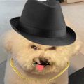 Profile picture ouchmoo.bsky.social