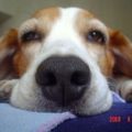 Profile picture farnarkelingkim.bsky.social