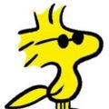 Profile picture evilgenius70.bsky.social