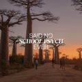 Profile picture saidnoschpsychever.bsky.social