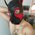 Profile picture pupl0b0.bsky.social