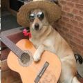 Profile picture thool377.bsky.social