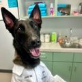 Profile picture drmaligator.medsky.social