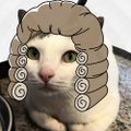 Profile picture catorney.bsky.social
