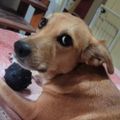 Profile picture vecky.bsky.social