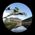 Profile picture pigeonisland.bsky.social