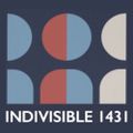 Profile picture indivisible1431.org