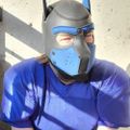 Profile picture pupsteeltooth.bsky.social