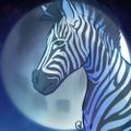 Profile picture geisterzebra.bsky.social