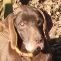 Profile picture thomhartmann.bsky.social