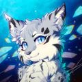 Profile picture cedarshang.bsky.social