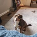 Profile picture b-rad78.bsky.social