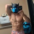 Profile picture pupnamedbolt.bsky.social