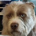 Profile picture hux77.bsky.social