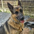 Profile picture samanthapanther.bsky.social
