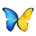 Profile picture searoze.bsky.social